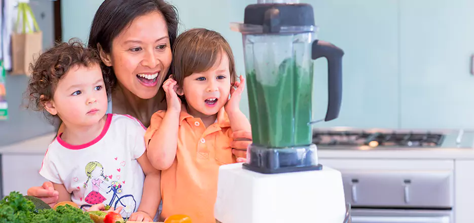 Juicer and Mixer Blender Repair in Fall River 