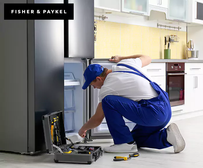 Top-Rated Fisher & Paykel Appliance Experts: Your Brand Specialist in Fall River, MA